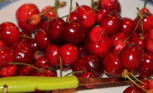 We loved these cherries because most of them have a twin! There are two on each stem.